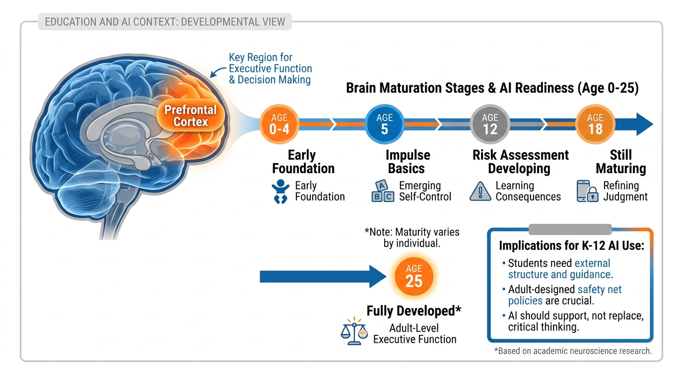 Brain diagram with prefrontal cortex highlighted in orange, alongside a timeline from age 0 to 25 showing development milestones and the implications for decision-making with AI